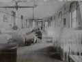 Bellevue Hospital 1891